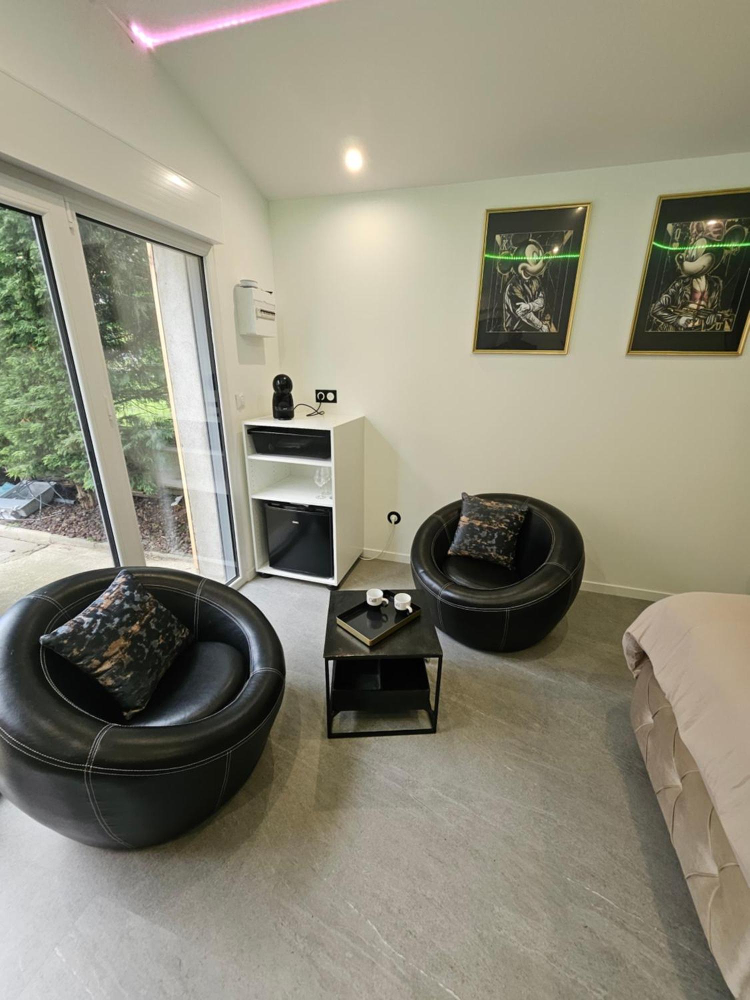 Hebergement Privee Jaccuzzi En Supplement Saint-Clair-du-Rhone Экстерьер фото